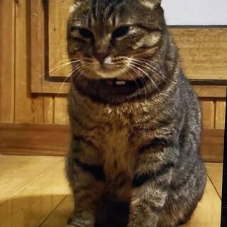 そっと人のそばにいるのが好きなちはるちゃん