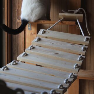 吊り橋 猫用 完成品 200cm～長さ調節できます