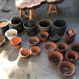 14日（日）迄　植木鉢各種差し上げます。の画像