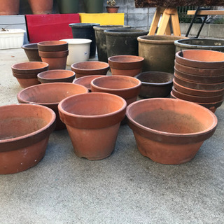14日（日）迄　植木鉢各種差し上げます。の画像