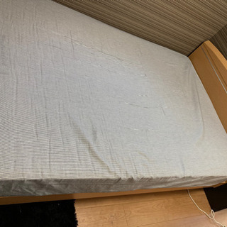 🛏ダブルベッド🛏の画像