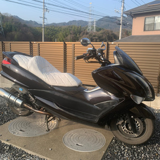 マジェスティ4D9 SG20Jの画像