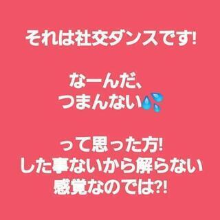 🐴四🐶足🐯歩🐩行🐯を楽しもう😊 - 広島市
