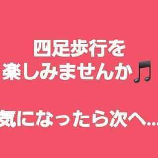 🐴四🐶足🐯歩🐩行🐯を楽しもう😊