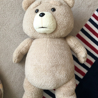 (決まりました)テッドぬいぐるみ