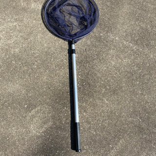 タモ網