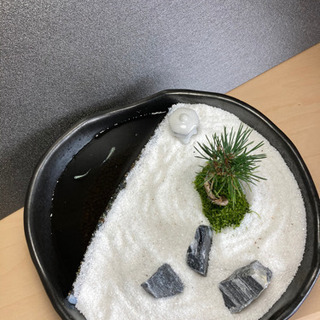 メダカ飼育にオススメ！！庭園スタイル★20㌢陶器使用！の画像