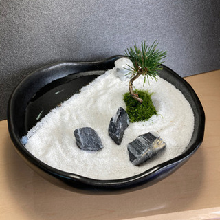 メダカ飼育にオススメ！！庭園スタイル★20㌢陶器使用！の画像