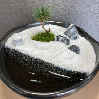 メダカ飼育にオススメ！！庭園スタイル★20㌢陶器使用！の画像