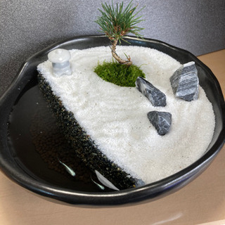 メダカ飼育にオススメ！！庭園スタイル★20㌢陶器使用！の画像