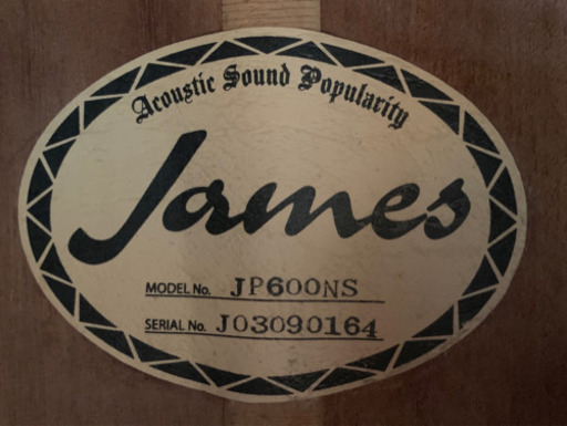 James JP600NS アコースティックギター 中古 弦張り替え済み★