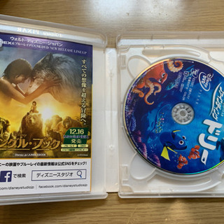 ファインディングドリーの画像