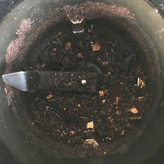 Panasonic MS-N53生ごみ処理機　中古差し上げますの画像