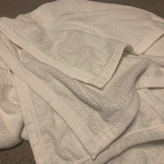 ★タオルケット3枚セット★ 0円 引取り希望の画像