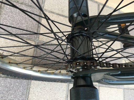 we the people 【pony】【希少】フラットランド用bmx