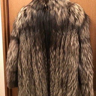 シルバーフォックス　ハーフの画像