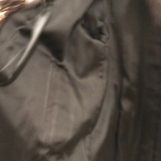 シルバーフォックス　ハーフの画像