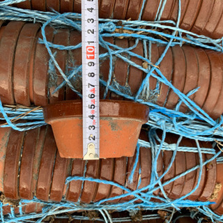 植木鉢あげます。5月末迄の予定の画像