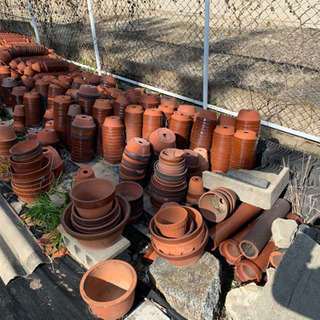 植木鉢あげます。5月末迄の予定