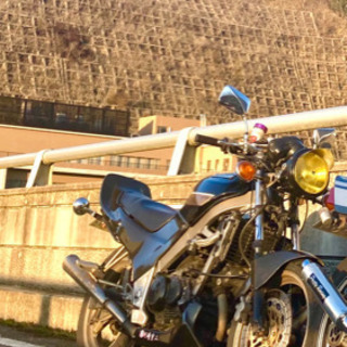 VTZ250売ります！ 