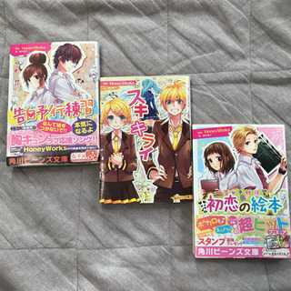 HoneyWorks🍯小説3冊セット