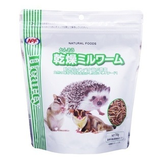 小鳥の餌あげます