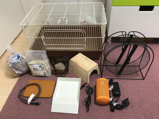 ハリネズミ 飼育セット