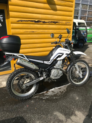 セロー　250　DG11J　１４０００キロ　調子良好車