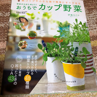 カップ野菜