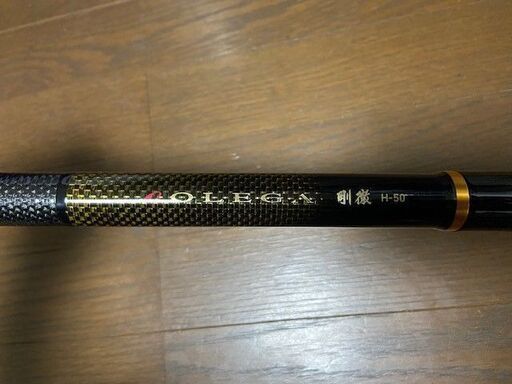 ダイワ オレガ剛徹H-50･V
