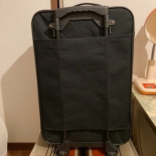 キャリーバック