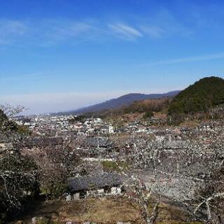 畿内の寺社巡りと山歩き