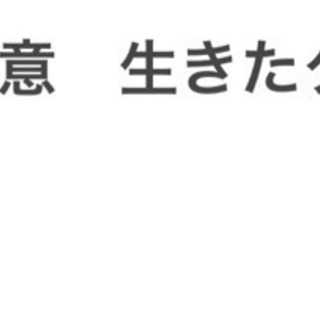 サンタレムピンクヘアード　5cm前後1匹