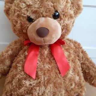 ぬいぐるみの画像