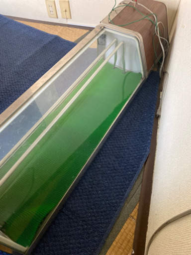 ネタケース