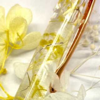 ハーバリウム🌼ぺんの画像