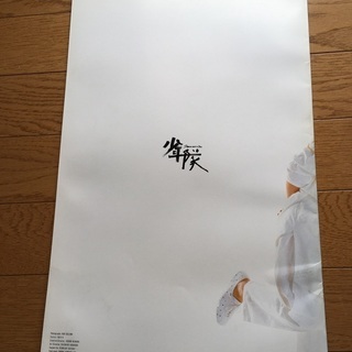 少年隊ツアーパンフ87　白の画像