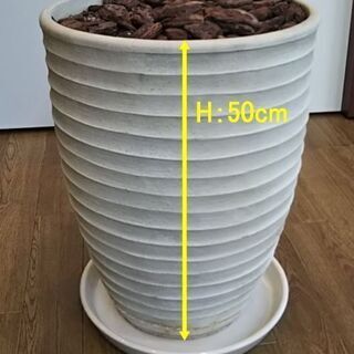 大きな植木鉢
