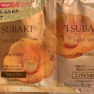 ツバキシャンプーの画像