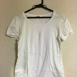 ユニクロ○エクストラファインコットンTシャツ