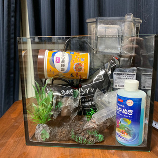 【値下げ】熱帯魚　水槽一式