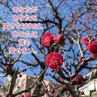 傷ついているあなたを癒やしたい……
