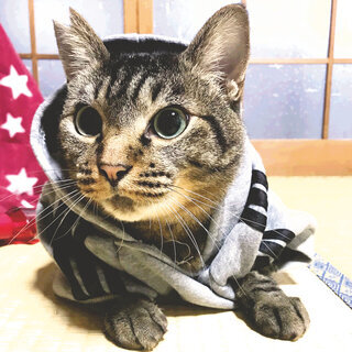 パティオ♡家族ができました