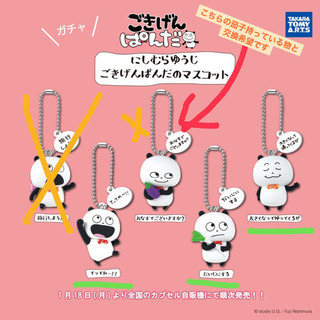 交換希望　ごきげんぱんだ