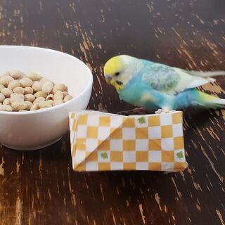 インコを探して下さい