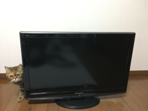 Panasonic地上・ＢＳ・１１０度ＣＳデジタルハイビジョン液晶テレビ TH-L32X1