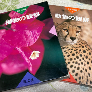 今だけ半額に｣旺文社の｢植物図鑑｣｢植物図鑑｣大型版の画像