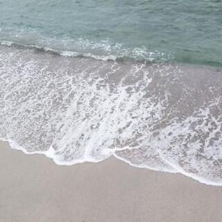 ♪海友♪　募集です