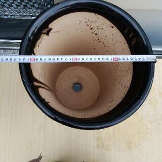 「取り引き中」陶器鉢 植木鉢 ラウンドブラック C1の画像