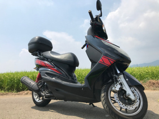 シグナス 2型 SE44 国内 カスタム 交換可